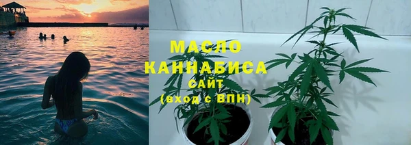 индика Бородино