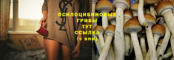 гидра Арсеньев