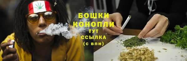 стаф Бронницы