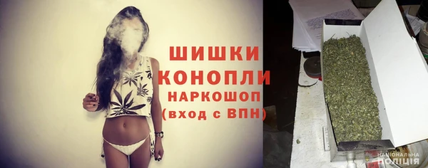 шишки Богданович