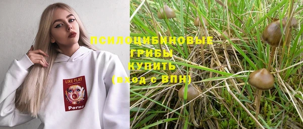 метамфетамин Богородицк
