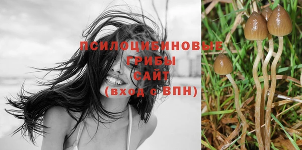 MESCALINE Богородск