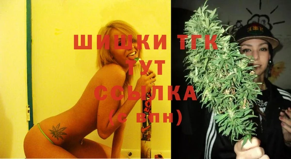 стаф Бронницы