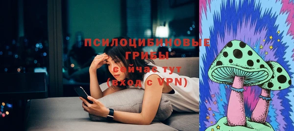 шишки Богданович