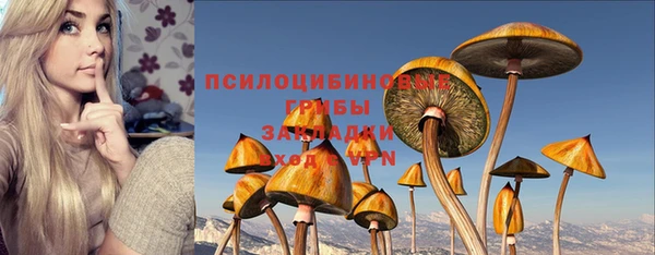 a pvp Верхний Тагил