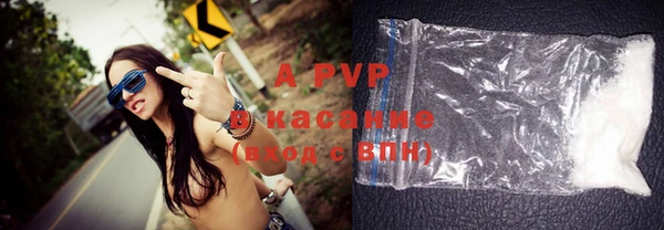 индика Бородино