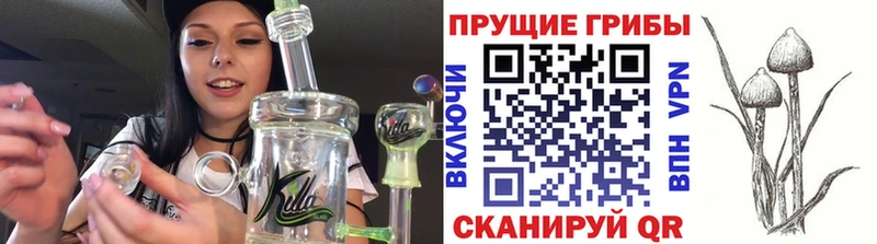 Псилоцибиновые грибы прущие грибы  Семилуки 